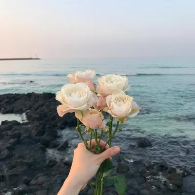 Пазл «Море роз» из 240 элементов | Собрать онлайн пазл №37873