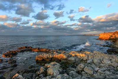 В Севастополе в Черном море появилось зеленое пятно