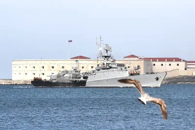 Камни и море... Херсонес, Севастополь, Крым, зима 2012