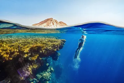Фотообои \"Подводная панорама. Шарм-эль-Шейх. Красное море. Египет\" - Арт.  190005 | Купить в интернет-магазине Уютная стена