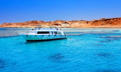 Красное море Шарм Эль Шейх (104 фото) - 104 фото