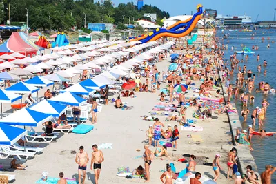 Дикий пляж на острове Джарылгач в Скадовск - цены 2024, описание, отзывы,  фото