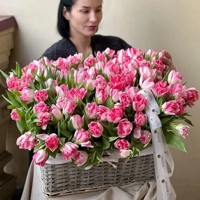 Море тюльпанов: «Зеленхоз» вырастит 30 тысяч цветов к 8 марта — LipetskMedia