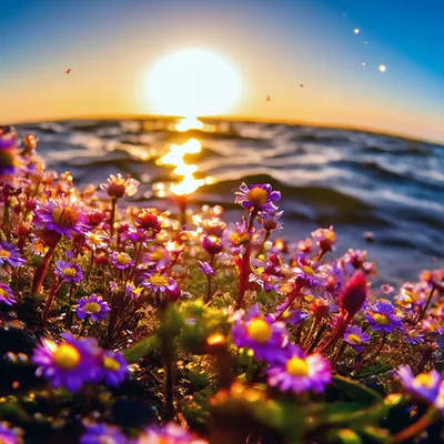 Цветы на фоне моря (60 фото) - 60 фото