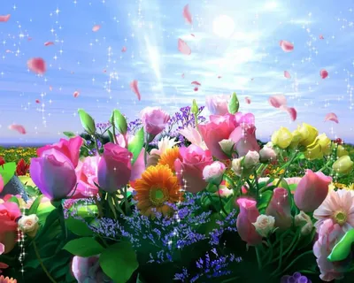 Изумительные снимки Моря цветов | Море цветов Фото №1271670 скачать