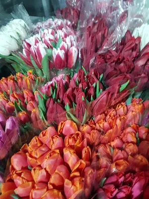 Фото: Море цветов, магазин цветов, Киевская ул., 24, Ялта — Яндекс Карты