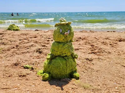 Пляжи Анапы \"захватили\" снеговики и монстры из водорослей