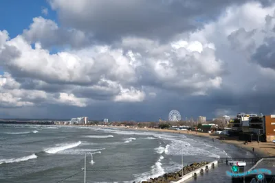 В Анапе зацвели водоросли, как долго это будет продолжаться - 18 июля 2021  - 93.ру