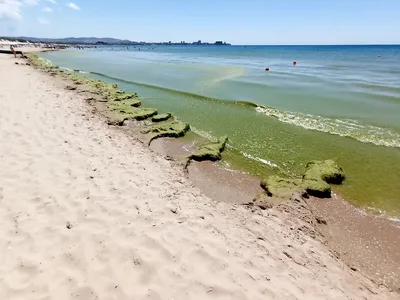 Лучшие пляжи Анапы 🏖: как добраться, описание, фото и отзывы — Суточно.ру