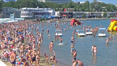 В Анапе Чёрное море превращается в зелёное: цветение за сутки разрастается  вдвое. Опасно ли это? | Юга.ру