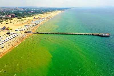 Температура воды в Черном море 27 августа 2022: самая холодная вода в Анапе  - KP.RU
