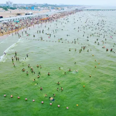 Все оттенки Черного моря: из-за цветения водорослей вода в Анапе приобрела  изумрудный цвет - KP.RU