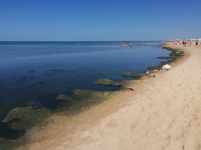 Лучшие пляжи Анапы 🏖: как добраться, описание, фото и отзывы — Суточно.ру