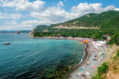 На пляжах Анапы много отдыхающих, люди загорают даже стоя в воде: видео от  туристов - 5 июля 2023 - V1.ру