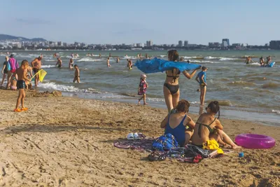 Мы в ужасе»: в Анапе турист пожаловался на камку в море в начале сентября.  4 сентября 2023 г. Кубанские новости