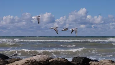 File:Caspian sea. Baku. Azerbaijan. Каспийское море. Баку. Азербайджан -  panoramio.jpg - Wikimedia Commons