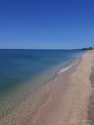 Отзыв о Отдых на Каспийском море (Азербайджан, Баку) | Или где там можно  купаться