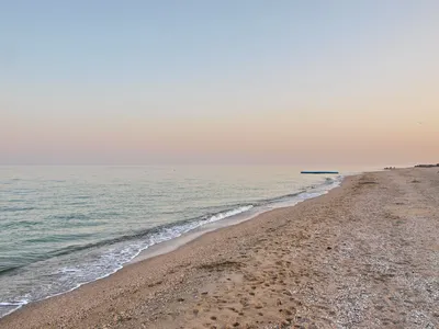 Бердянск. Это ТРЕШ! Пляжи Бердянска. Что это кусается в море? Цены в  Бердянске - YouTube