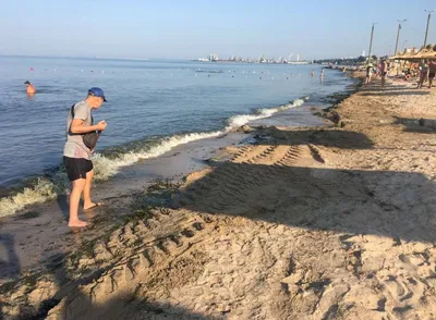 Бердянск сегодня - фото и видео пустых пляжей - как живет юг Украины в  оккупации - ZN.ua