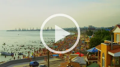 В Бердянске на пляжи море выносит тонны водорослей - Запорожье Vgorode.ua