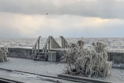 В Бердянске обрушилась часть набережной (фото) - ria-m.tv. РІА-Південь