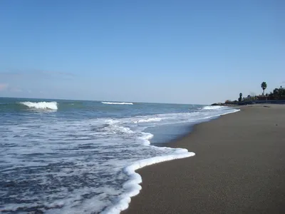 На пляжах Дагестана впервые за много лет разрешили купание ⋆ НИА \"Экология\"  ⋆