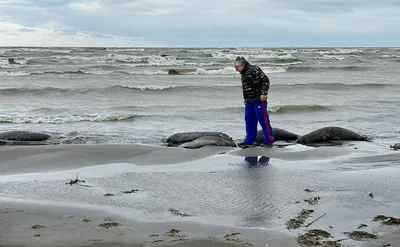 Лучшее в Дагестане и отдых на море | Большая Страна