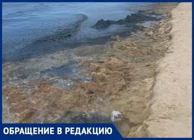 Туры на море в Джемете из Витебска