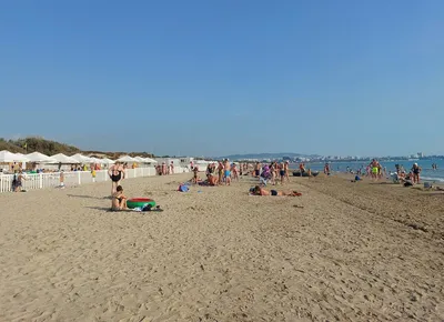 Невозможно в такой вонище»: гости курорта пожаловались на состояние пляжа  Джемете