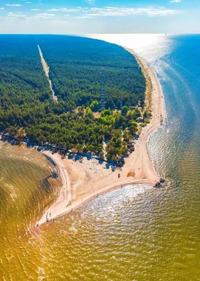 Фотография морского побережья Литвы | Море в литве Фото №1294122 скачать