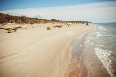 Клайпеда, Литва-что посмотреть и как попасть на пляж Смилтино на Куршской  косе — УНИАН