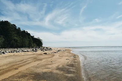 Красивый Летний Вид На Балтийское Море Галечный Песчаный Пляж И Сосновый  Лес Яркоголубое Небо Куронская Коса Клайпеда Литва Бурное Мор — стоковые  фотографии и другие картинки Балтийское море - iStock