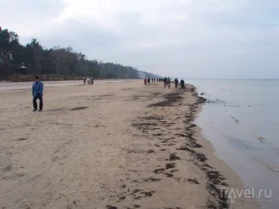 В Литве загрязнение мусором пляжей на Балтике превышает норму ЕС в разы -  13.08.2022, Sputnik Литва