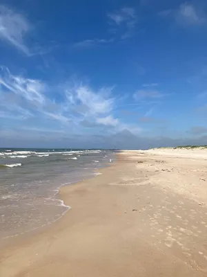 Вид На Балтийское Море В Ниде Латвия — стоковые фотографии и другие  картинки Латвия - Латвия, UNESCO - Organised Group, Балтийское море - iStock