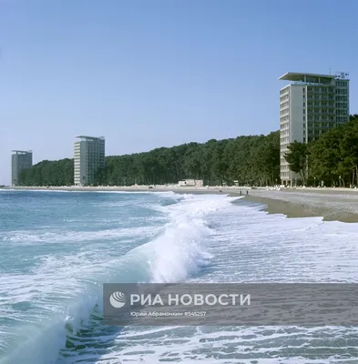 Чистейшая, как слеза водичка в Пицунде🌊 А где по вашему самое чистое море  на Черноморском побережье?🙂 | Instagram