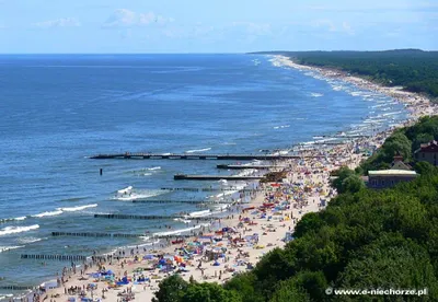 Выходные на Балтийском море 3 места, где можно отдохнуть в Польше - Закордон