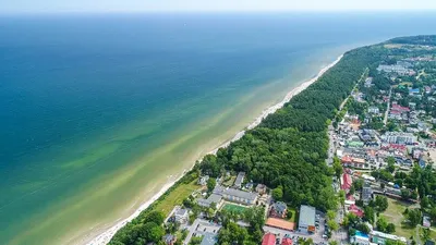 Необычные польские пляжи: на море, в лесу и в центре города | Статья |  Culture.pl