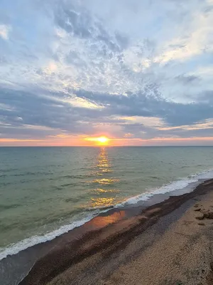 Где самое чистое море в Крыму в 2024 🌊 | Курортно-развлекательный комплекс  «Миндальная роща»