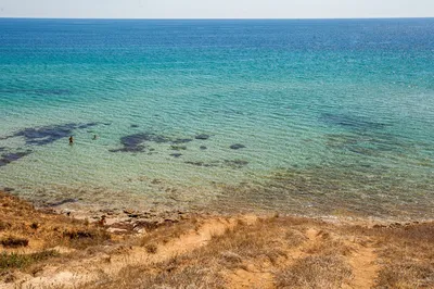 Где самое чистое море в Крыму в 2024 🌊 | Курортно-развлекательный комплекс  «Миндальная роща»