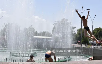 В Таджикистане ищут машину, на которой был похищен банкир, и преподавателя  в акватории реки Зеравшан | Новости Таджикистана ASIA-Plus