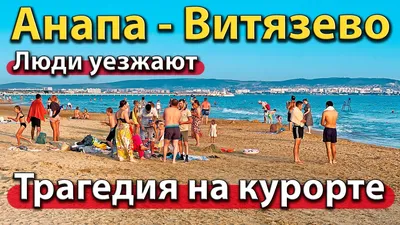 Когда цветёт море в Анапе и Витязево?