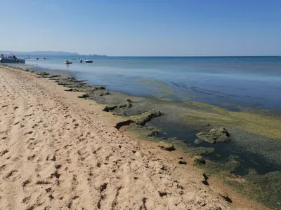 Особенности погоды в Витязево в разное время года