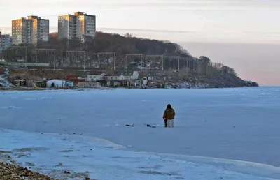 Жители Владивостока рассказали, за что любят краевую столицу | ОБЩЕСТВО |  АиФ Владивосток