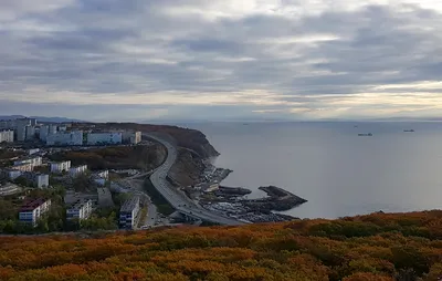 Во Владивостоке откроют круглогодичный открытый бассейн с морской водой -  Российская газета