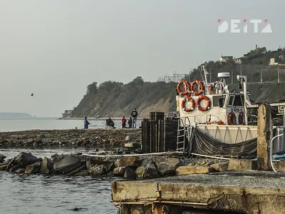 Здравствуй, город у моря, Владивосток (с экскурсиями по Сафари-парку,  бухтам Уссурийского залива, посещением музея Женьшеня, Приморского  Океанариума и шоу морских млекопитающих, 5 дней + авиа) - Дальний Восток  (Приморский край и Владивосток)