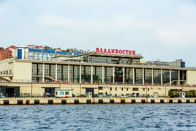 Море по колено: где будет купаться «отчаянный» Владивосток этим летом |  DEITA.RU | Дзен