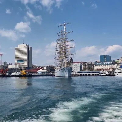 Владивосток: Море греет, не жалея - Квакша