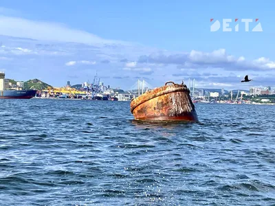 Отзыв о Торговый центр \"Море\" (Россия, Владивосток) | Современный,  стильный. Чистая и ухоженная территория вокруг: приятно быть не только  внутри, но и рядом