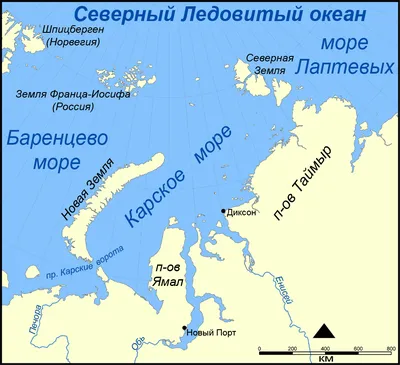 Моря России | Infomap | Дзен