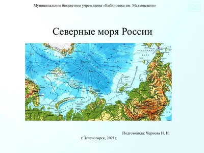 Какое из морей, омывающих Россию, самое глубокое? | Человек и мир | Дзен